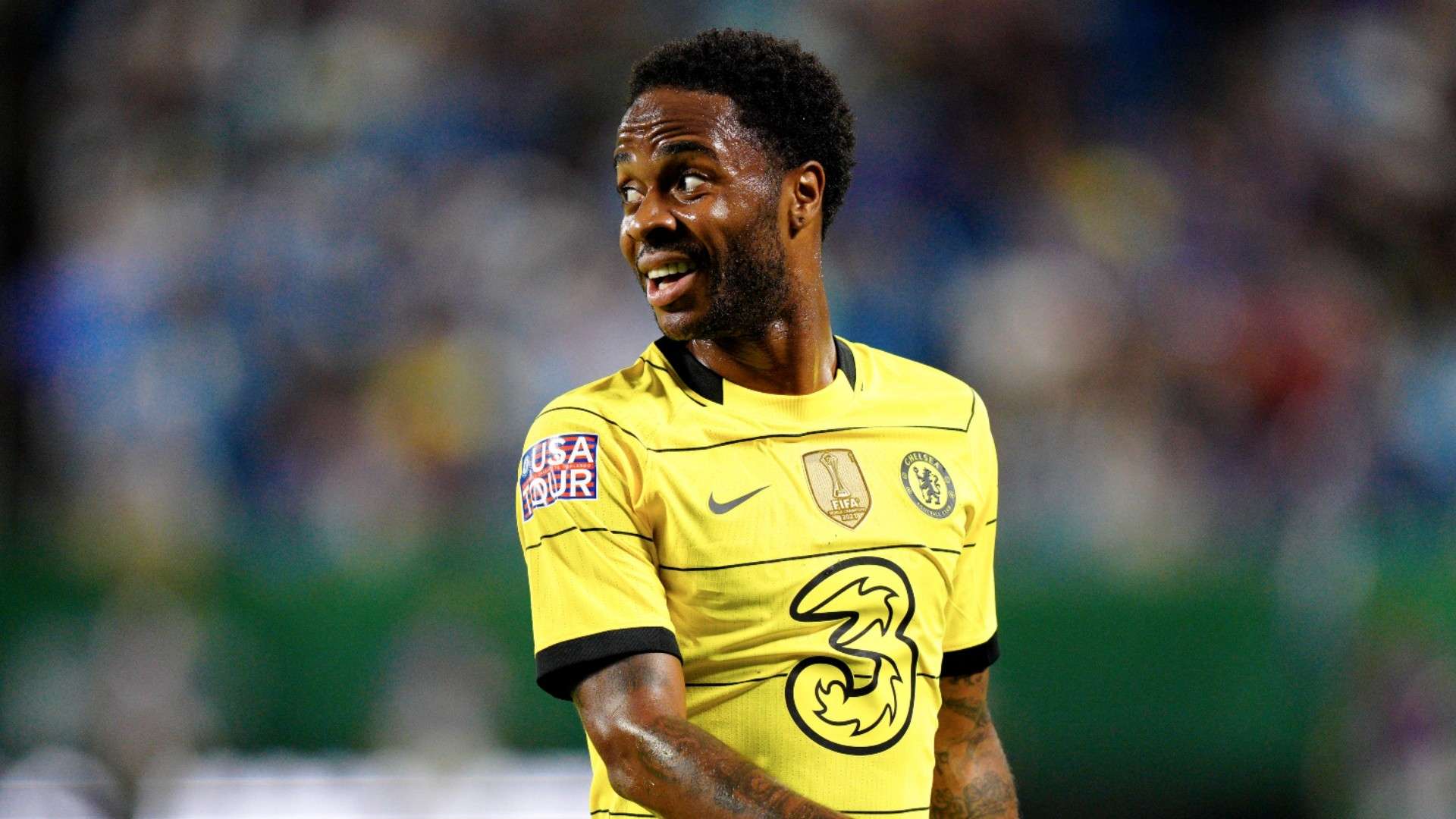 的造诣也不 的造诣也不